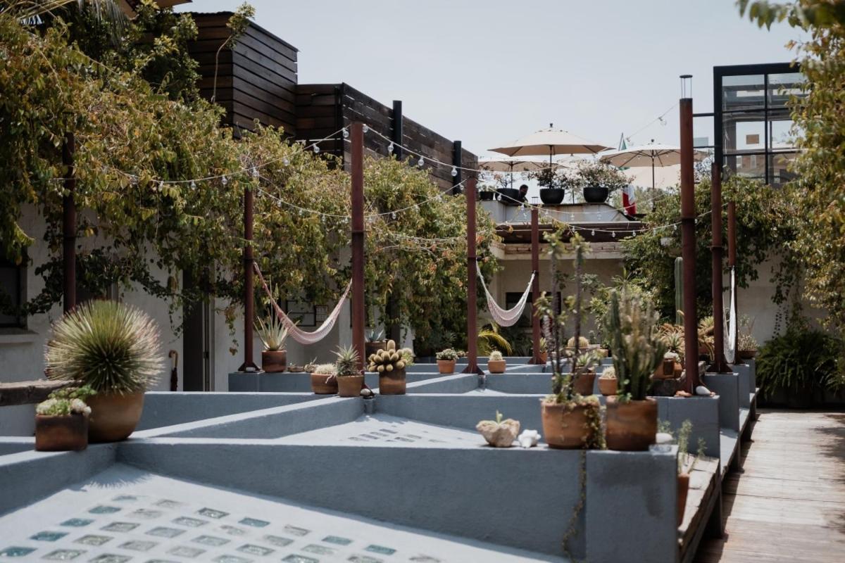 Casa Lomah Hotel Ciudad de México Exterior foto