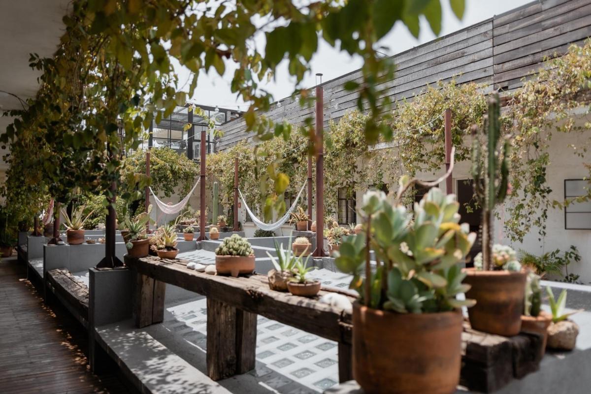 Casa Lomah Hotel Ciudad de México Exterior foto