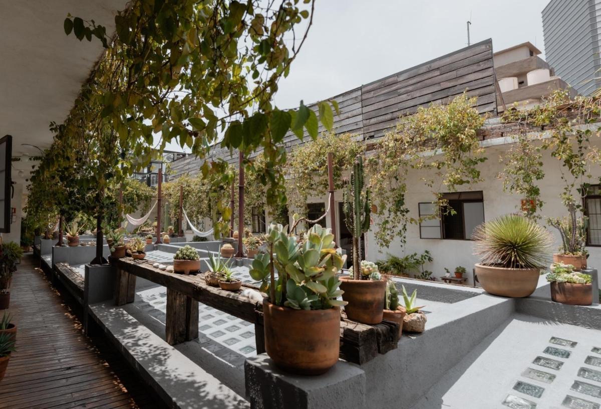 Casa Lomah Hotel Ciudad de México Exterior foto